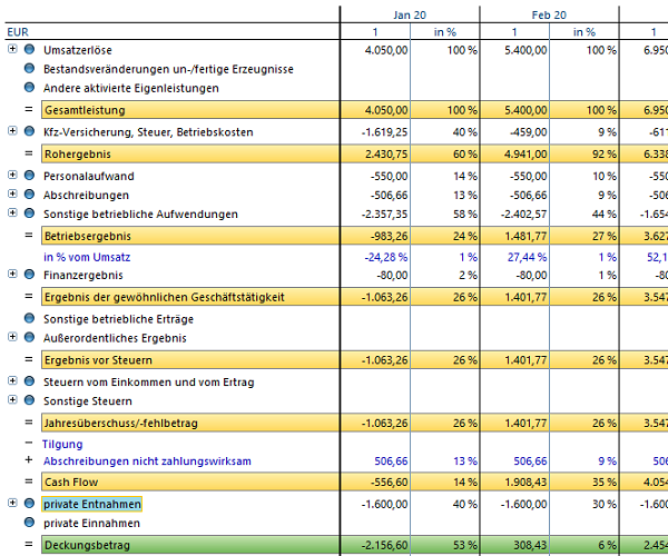 Rentabilitätsplan